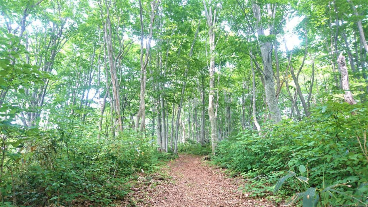 Blueberry Pension Madarao Iiyama Exteriér fotografie
