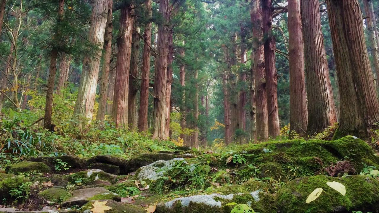 Blueberry Pension Madarao Iiyama Exteriér fotografie