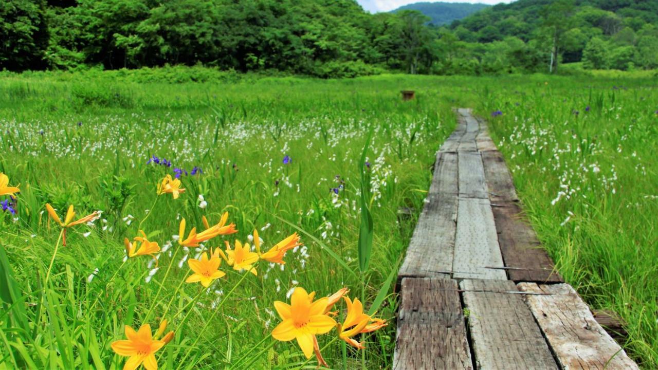 Blueberry Pension Madarao Iiyama Exteriér fotografie